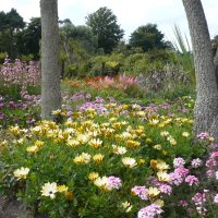 Logan Botanic Garden